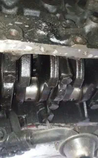 تعمرات کلیه خودروها
