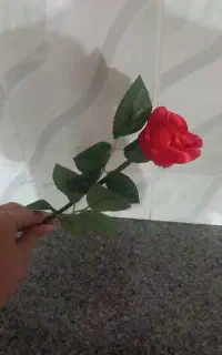 گل زیبا