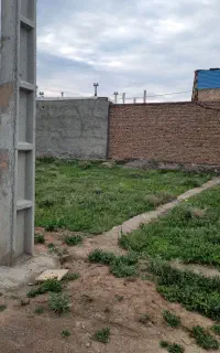 فروش فرش ۱۲متری در حد نو