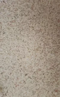 برنج هاشمی( زرد دم ) درجه ی دو