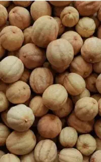 فروش لیمو عمانی