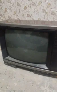 تلویزیون