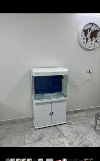 اکواریوم