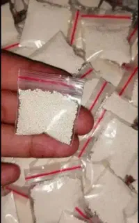 پودرشپش