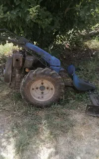 دروگر 2 کاره  ایتالیای