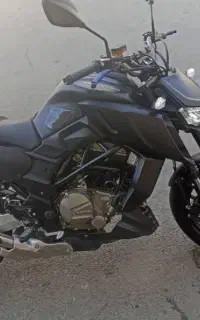 مانستر 250