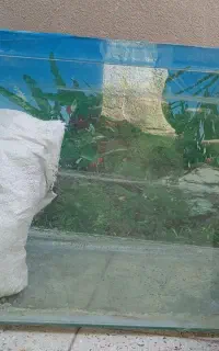 آکواریوم