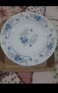 پیش دستی آرکوپال
