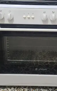 اجاق گاز فردار اسنوا