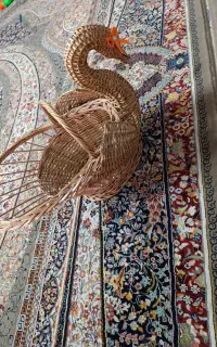 مرغابی حصیری خوشگل سالم