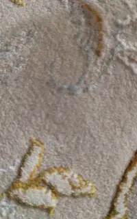 گمشده