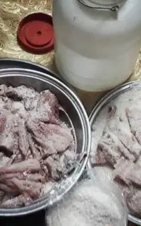 ماهی سوری