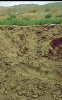 خاک باغچه100٪ضمانتی گوربندماسه بادی .مل. کودگاوی