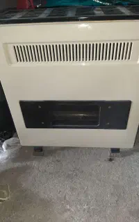 بخاری سالم