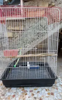 قفس پرنده کاملاً نو