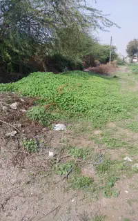 نگهبانی باغ