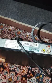 دی وی دی