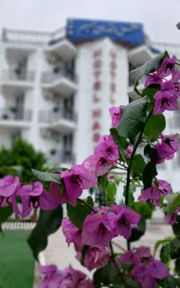 استخدام خانه دار هتل