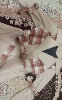پالتو خوش رنگ شیک