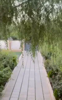 اجاره روزانه هفتگی و ماهانه باغ ویلا