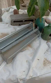 دانخوری پرنده