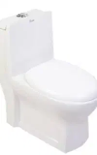 فرنگی ،چینی کرد