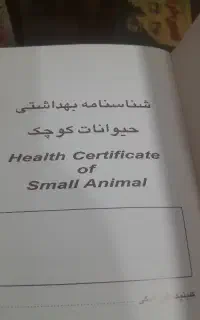 واگذاری سگ نگهبان