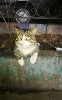 خط بسیار رند مرکز ابوریحان 4777333
