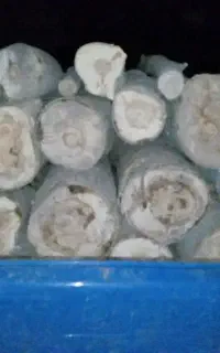 برش وخرید انواع چوب