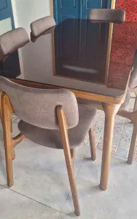 ظرفشور خانم