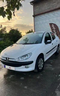 206 SD مدل 1393
