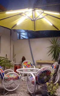 چتر باغی کاملا سالم