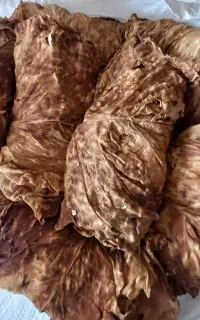 تنباک بنیاد