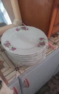 ظروف گل صورتی
