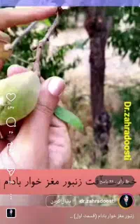 کارگر خانم
