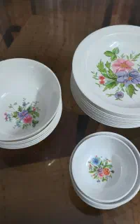 ملامین سالم مناسب باغ