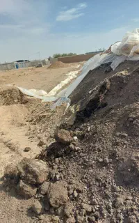 کود پوسیده دامی