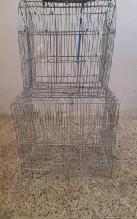 قفس