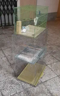 قفس پرنده