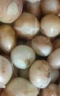 پیاز تمیز