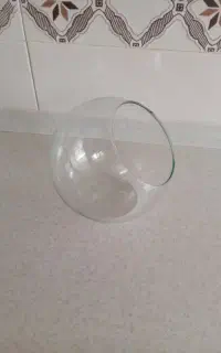 شیشه تراریوم