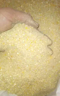 دان مرغ