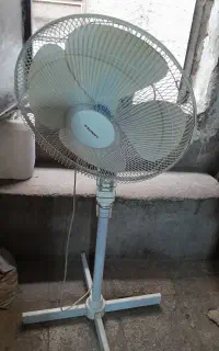 پنکه