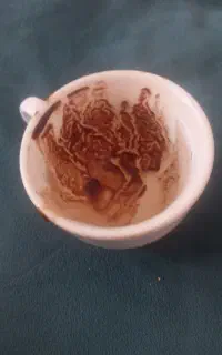 فال قهوه تاروت لنورماند