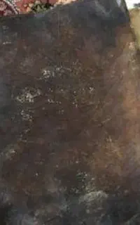 کتب مهرمحبت بین همسر