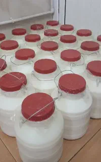 دوغ نهره محلی با طعمه طبیعی کره طبیعی محلی نهره
