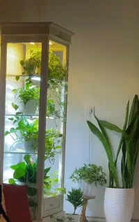 استند گل با نورپردازی ال ای دی