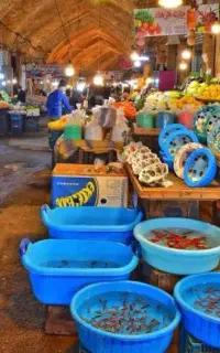 توپخانه مغازه نصف قیمت