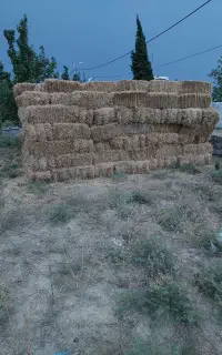 فروش پرس جو