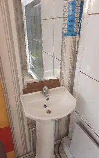 دستشور نو نو به همراه شیر و شینگ..